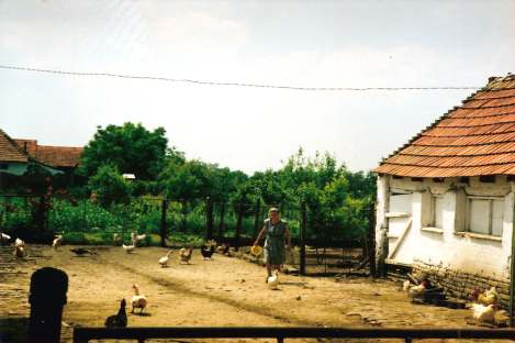 Die rumänische Tageszeitung Timisoara" berichtet im Januar 1993, daß in Grabatz viele deutsche Häuser dem Zerfall preisgegeben sind.
