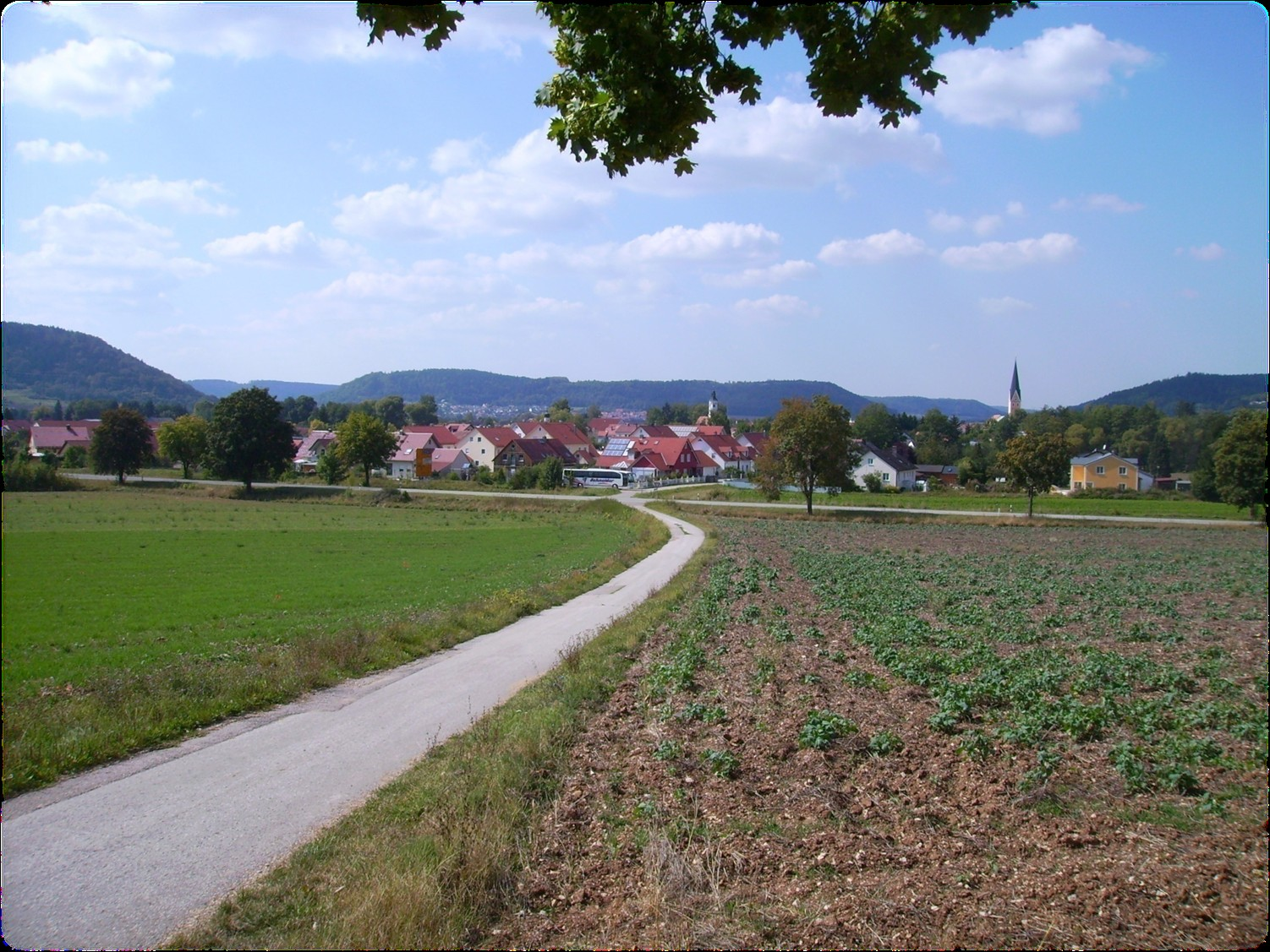 Studie zum Hochwasserschutz für Dietfurt a. d. Altmühl für ein Bemessungshochwasser HQ 100 + 15 % Ersteller: Dipl.