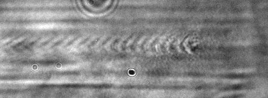 Bild der periodischen Plasmawelle, die während der Wechselwirkung des JETI-Pulses mit einem unterdichten Plasma gebildet wurde.