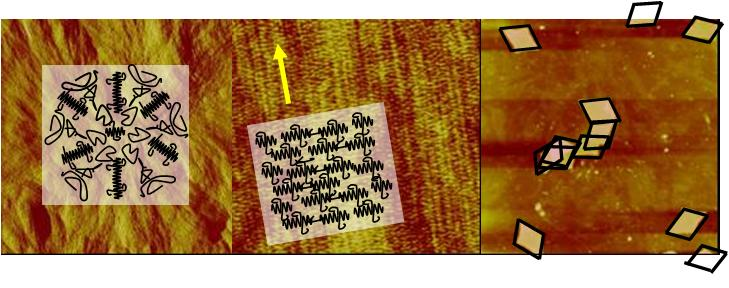 - Untersuchungen zur Grenzflächenenergie getriebenen Nano-Phasenseparation in Dünnfilmmischungen aus dem halbleitenden Polymer Poly(3-hexylthiophene) (P3HT) und dem modifizierten Fulleren