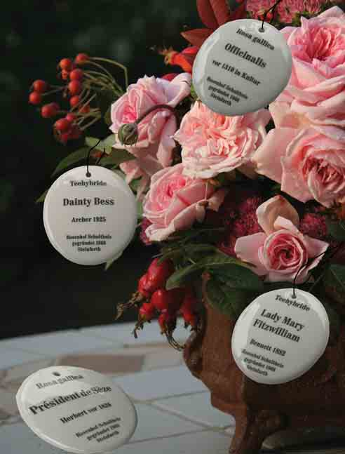 Porzellanetiketten Zu vielen unserer Rosen gibt es stilvolle Etiketten aus Porzellan, die nach altem Vorbild gefertigt sind.