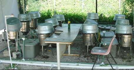 Verwendete Materialien und Methoden 117 leistungsfähigeres bzw. biogasfördernderes Bioadditiv als die anderen Bioaddtive erwiesen hatte. 3.