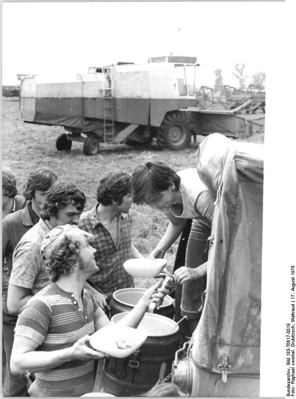 1978: Studenten helfen als Mähdrescherfahrer, Verlustprüfer, Schichtleiter und