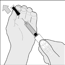 Entfernen Sie den Nadelschutz, indem Sie diesen zuerst drehen (Abbildung B1) und anschließend gerade von der Spritze weg abziehen (Abbildung B2).