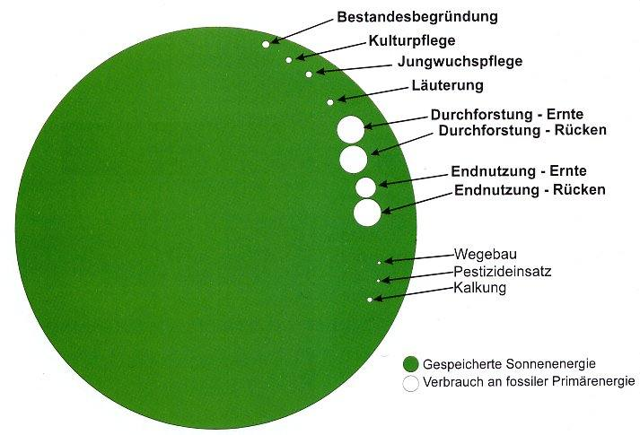 - 6 - Auszug der Untersuchung: holz pur Eichendielen als Terrassenbelag,, BOKU Wien Energiebilanz bei der forstlichen Produktion Beim Prozess der Photosynthese wird die Energie der Sonne im Holz