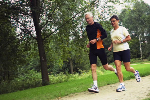 1 Motivation vom Wohlstandssyndrom zur Fitness Lutz Aderhold und Stefan Weigelt Unsere frühen Vorfahren mussten als Jäger und Sammler täglich laufen, um an Nahrung zu gelangen.