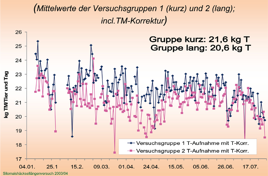 Dieses Bild zeigten die Versuchstiere aber nicht.