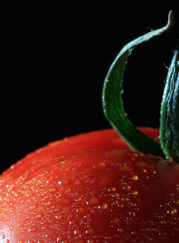 Selezione Toscana Sughi al pomodoro Tomato sauce Tomatensauce La Passata di Pomodoro Ingredienti: