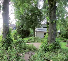 GEMEINDE AKTUELL Stürmische Zeiten Sturmtief Ela hat auch der Kirchengemeinde zugesetzt. Besonders schwere Schäden haben wir auf unserem Friedhof.