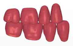 seitenzahnaufstellung Typ Interkuspidation Die Oberkieferzähne können nun den Unterkieferzähnen in optimaler Interkuspidation einer 1-Zahn-zu-2- Zahn-Beziehung zugeordnet werden.