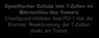 Tumors Checkpoint-Inhibitor Anti-PD-1 löst die Bremse:
