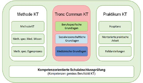 Tronc Commun KT Tronc Commun KT - Berufsspezifische Grundlagen (BG) Zweck und Bezugsrahmen Der Tronc Commun KomplementärTherapie (TC KT) legt für den methodenübergreifenden Teil der