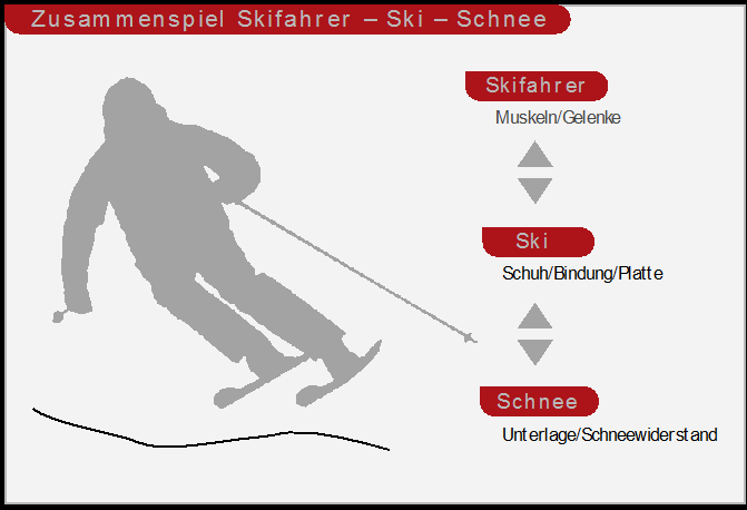 Zusammenfassung Grundlagen der Skitechnik: Zusammenspiel Skifahrer Ski Schnee