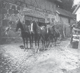 Bei den Pferden Eduard Daumann, Albert Peterson kutschiert.
