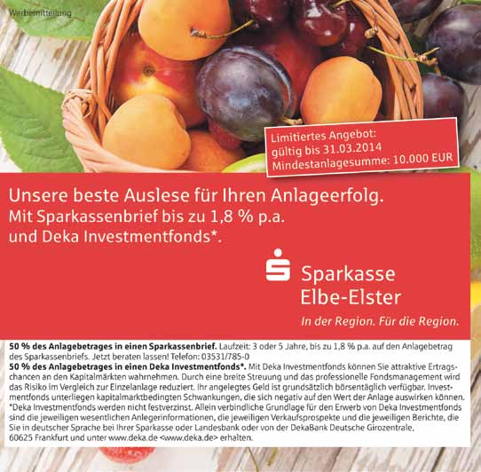 2 Kreisanzeiger für den Landkreis Elbe-Elster Nr. 4/2014 Stellenausschreibung Geschäftsführer/in Die Stadt Bad Liebenwerda sucht zum 01.08.