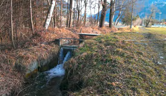 Unabhängig vom Bach wurde ein Teich angelegt, welcher Amphibien als Lebensraum dienen wird. Die Unabhängigkeit zwischen Bächlein und Weiher ist wichtig, damit Fische nicht die Amphibien bzw.