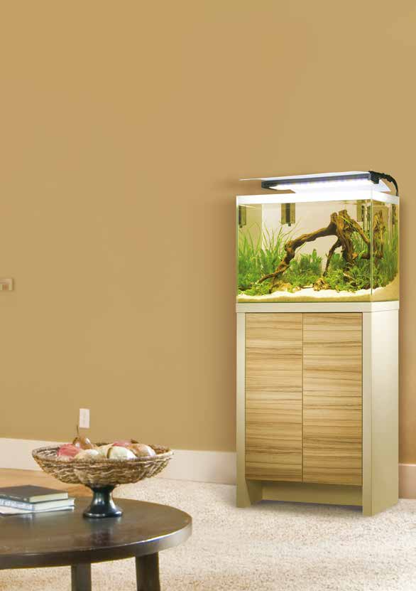 Fresh Voll ausgestattete Aquarienkombinationen Die elegant gestalteten Fluval Fresh Aquarienkombinationen sind eine attraktive Ergänzung im Wohnraum oder Büro.