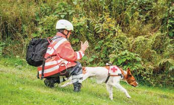 Foto: A. Flenner, www.hundesport-fotografie.de Foto: Kathrin Cielenga, DRK-OV Schwenningen Rescue Camp: Erstmals fand die internationale Katastrophenübung der Rettungshunde im Schwarzwald statt.
