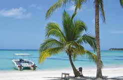 Zum unvergesslichen Urlaubstörn gehört das karibische Flair mit typischer Musik, kühlen Mixgetränken und dem creolischen Essen. Für Karibikeinsteiger empfehlen wir Tortola mit seinen kurzen Distanzen.