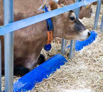 DeLaval Aufstallungszubehör Der Schlüssel zum umfassenden Kuhkomfort Sich für Kuhkomfort zu entscheiden, bedeutet auch sich für Details zu interessieren.