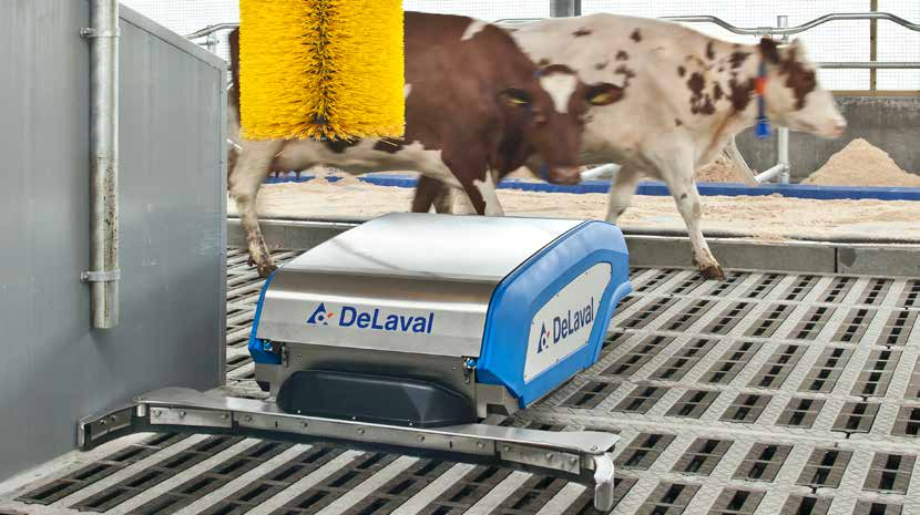DeLaval Spaltenreinigungsroboter RS450 und RS450 WS Gründlich und flexibel Die neuen RS450 Roboter für Spaltenböden können einen großen Beitrag zur Verbesserung der Hygiene in Ihrem Stall leisten.