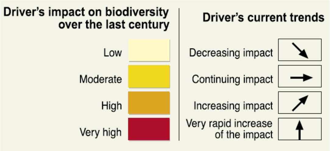 Gefährdung der Biologischen Vielfalt (Millennium Ecosystem Assessment 2005) Gefährdungsursachen der Biodiversität in Wäldern