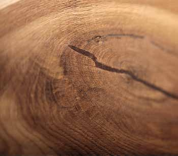 Aufgrund der kargen Böden und langen Winter ist das Holz dichter und besonders hart.
