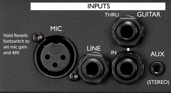 Schritt 2: Eingänge Schließen Sie zunächst mit einem XLR-Kabel ein Mikrofon an die MIC-Buchse des VoiceLive 2 an.