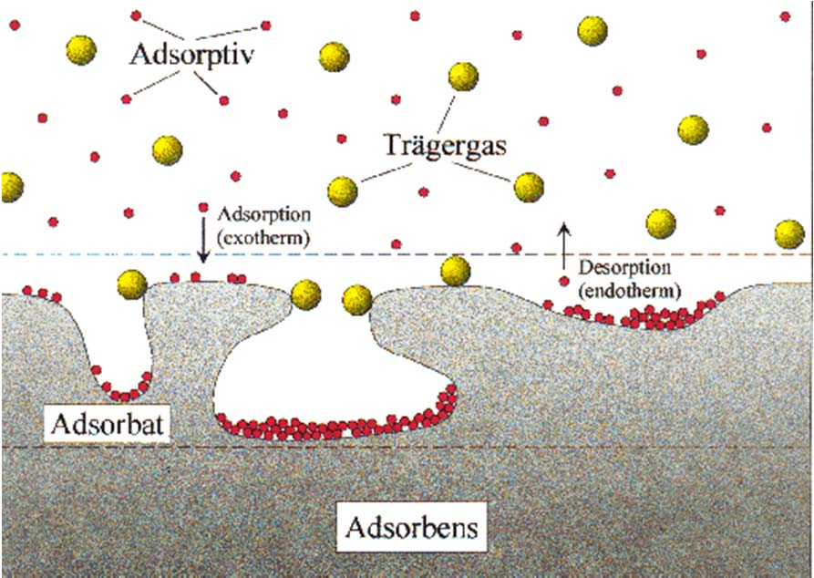 Oberfläche von Adsorbentien (Silikagel, Zeolith,