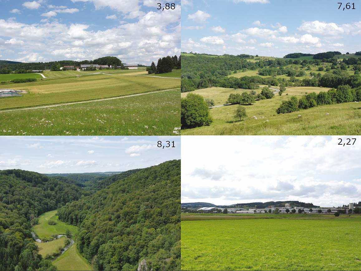 ehrliche Fotos, hohe Vergleichbarkeit - nur Sommerbilder - möglichst blauer Himmel, leichte Bewölkung - identische Brennweite (60 mm) - Horizont