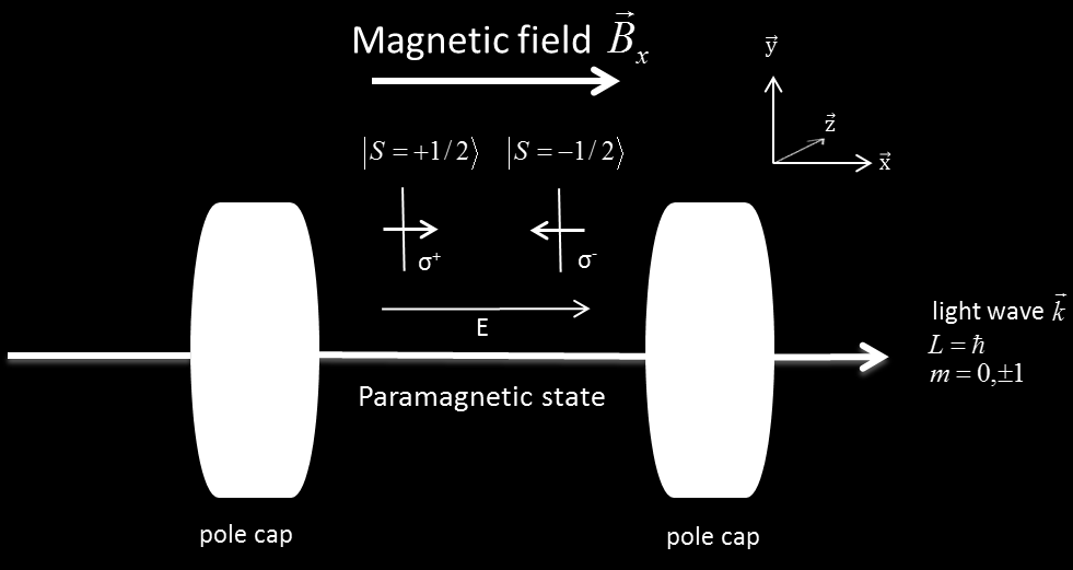 Im umgekehrten Fall liegt im energetisch günstigen Zustand eine parallele Ausrichtung der Spins zum B-Feld vor (Paramagnetismus).