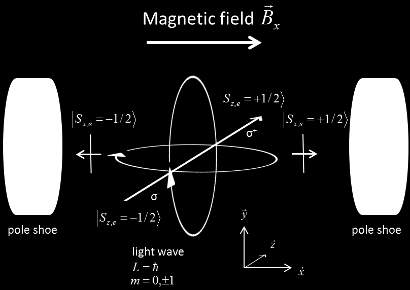 Experimentelle Methoden und Aufbau Abbildung 4.5: Die Skizze der Voigt-Geometrie. Die Ausbreitungsrichtung des Lichtes (rot) steht senkrecht auf dem transversal gerichteten Magnetfeld (schwarz).