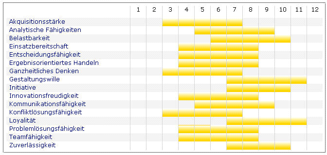 Kompetenzen messen: KODE X Bereichsspezifische und strategisch wichtige Kompetenzen Sollprofil: