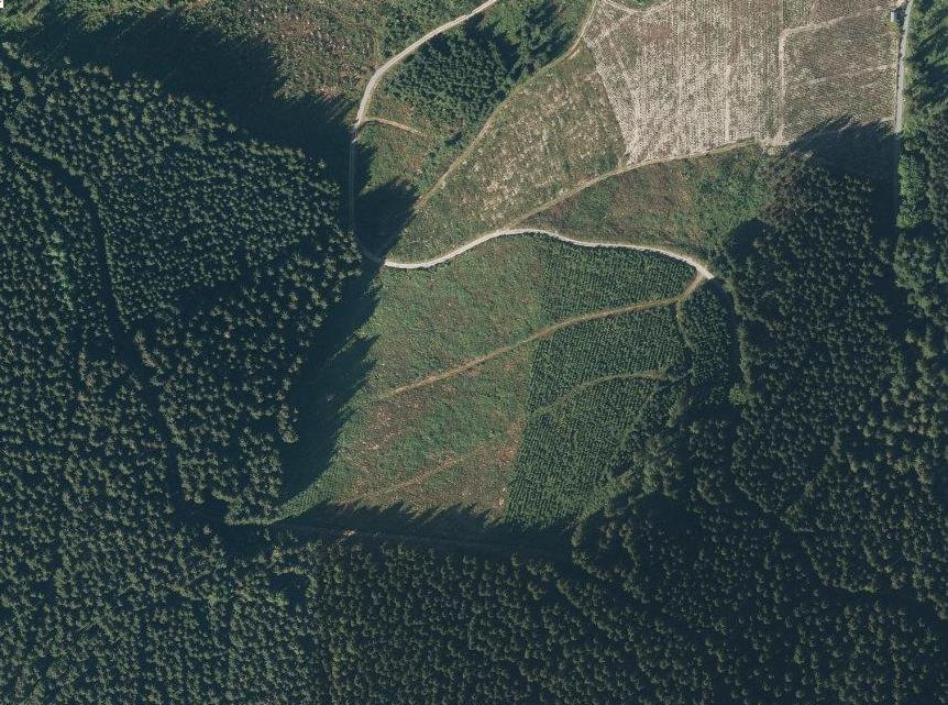 AdV Vorhaben: 2030 Trennung TN in Landbedeckung und Landnutzung Beispiel GeoInfoDok 7: [] 'Wald' ist eine Fläche, die mit Forstpflanzen (Waldbäume und Waldsträucher) bestockt ist.