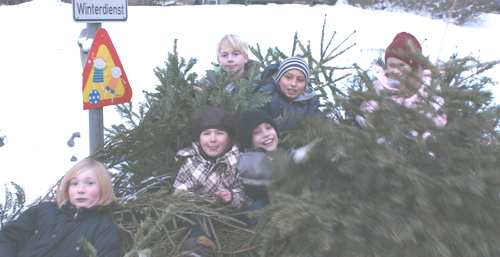 und das hat stattgefunden Tannenbaumaktion der Ameland-Gruppe 2/2010 Alle Jahre wieder kommt die Frage auf, wohin mit dem Weihnachtsbaum nach dem Dreikönigsfest.