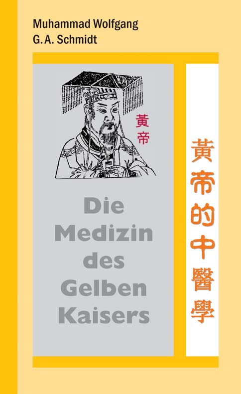 Gesundheitswesen angeboten. Neben den traditionellen Lehrinhalten erhalten chinesische Akupunkturärzte heute auch eine zusätzliche Pflichtausbildung in den Grundlagen der westlichen Schulmedizin.