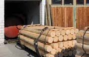 Dabei ist die Färbung des Holzes durch das Imprägniersalz aber kein alleiniges Indiz für einen wirksamen Holzschutz.
