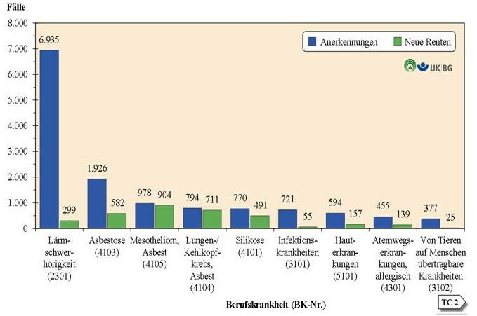 Angezeigte und anerkannte Berufskrankheiten 2013 Staub verursacht Seite 7 Quelle: