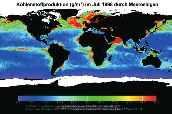 Fachbeitrag Bracher, Detaillierter Blick aus dem All Meeresalgen global beobachtet Abb.