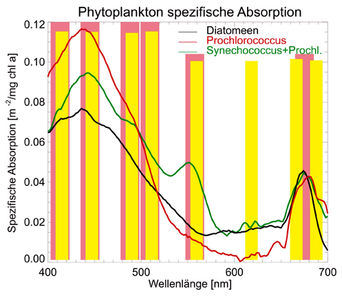 Wasseroberfläche und der Parameter, die die Abhängigkeit der Photosynthese vom Licht charakterisieren, basierend auf dem Model von Behrenfeld und Falkowski 1997.