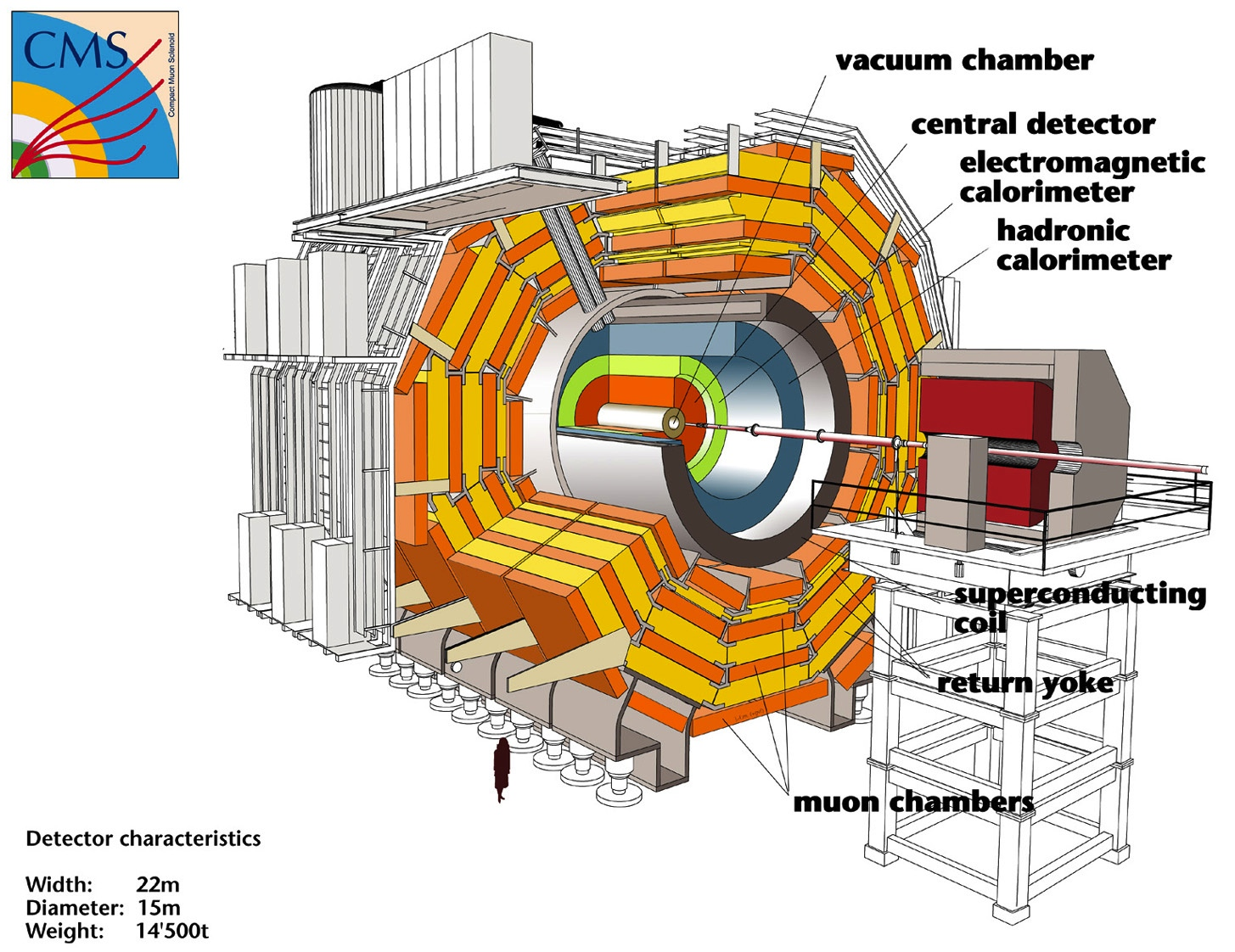 LHC: Die größte Compact Muon Solenoid