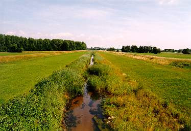 Gewässerunterhaltung in NATURA-2000-Gebiet Renchflutkanal, LK Ortenau, Baden-Württemberg Situation: Der Renchflutkanal ist ein Hochwasserentlastungskanal.