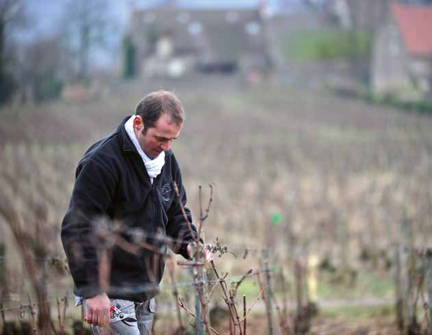 Aubin Blagny Chassagne-Mantrachet C Ô T E D E N U I T S Das Burgund ist eine der ganz großen Weinbauregionen Frankreichs und erstreckt sich im Osten zwischen Jura, Pariser Becken (Champagne) und dem