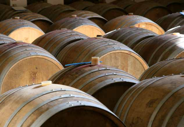 Hinzu kommt spezielle, geradezu kühle Mikroklima inmitten des heißen Languedoc, welches Feinheit, Frische und Komplexität für die Weine bedeutet.