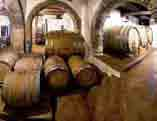 Italien Piemont Seite 66 Seite 67 Italien Toskana ten und den Weinen Kraft und Fülle zu geben Der weitere Ausbau erfolgt in Holzfässern verschiedener Größe oder bei den normalen Qualitäten im