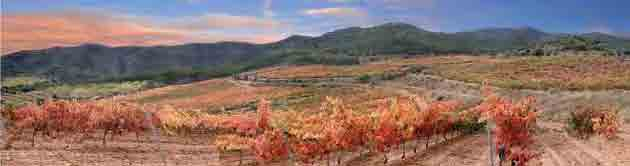 Der Bereich besitzt eine sehr alte Weinbau-Geschichte, doch erst 1991 wurde durch die Neuordnung des Weinbaugesetzes die Rioja als erstes Weinbaugebiet Spaniens in den höchsten DOCa-Status gehoben.