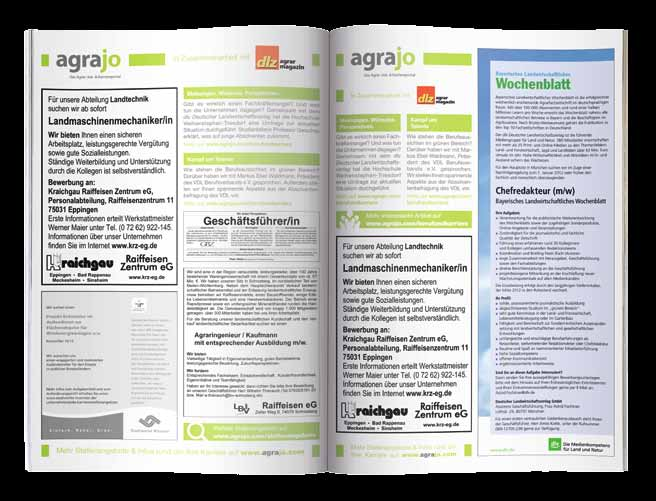 Formate und Preise/ Stellenmarkt/ Karriereportal Print 1/1 Seite (1.