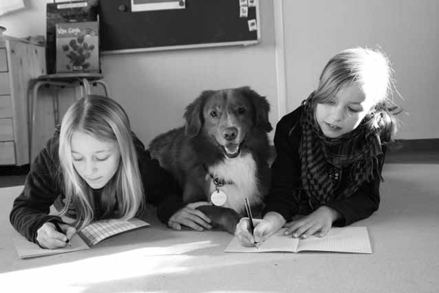 Andrea Beetz Hunde im Schulalltag Grundlagen und Praxis Unter Mitarbeit