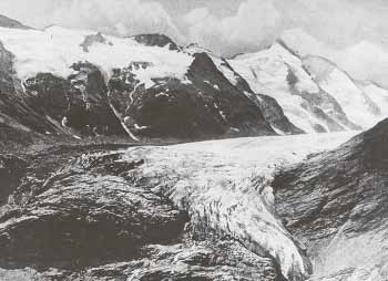 Bäume, die vom Eis frei gegeben worden sind, zeigen, dass die Gletscher in der Nacheiszeit wesentlich kleiner waren als heute, berichtet Lieb.