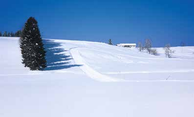 winterwandern 59 land & leute Negrellis Kirche & weite Ausblicke Sulzberger Höhenweg Vom Vitalhotel Linde, Schönenbühl (820 m) führt ein Güterweg, oder bei ausreichender Schneelage eine Wander piste